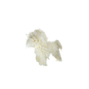 MANIQUIES MODEL DOG RMD-1201