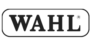 logo3-300x158-2